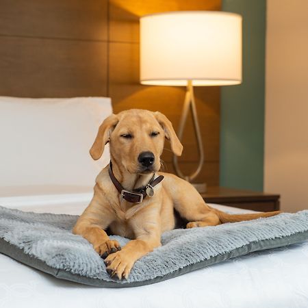 Staybridge Suites - Hillsboro North By Ihg Exteriör bild